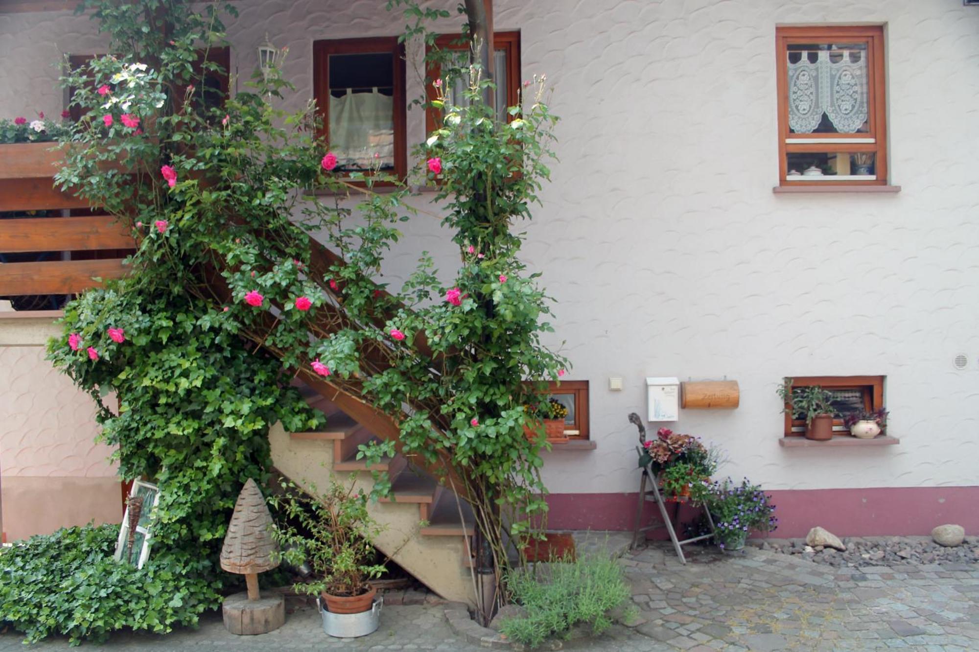Haus Am Bergli Apartment Herbolzheim Exterior photo